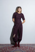 Charlotte Aubergine Pants