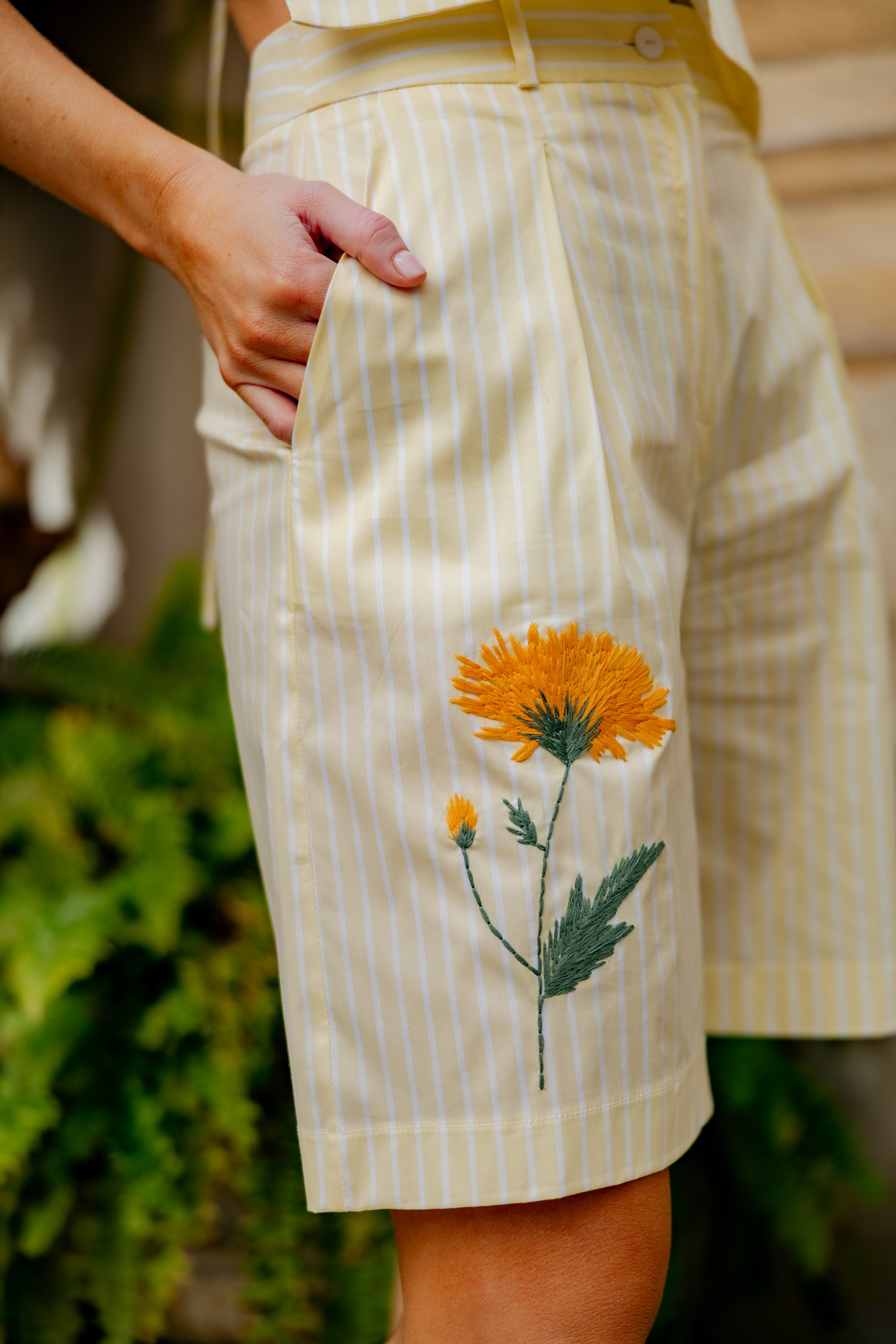 Bermuda Raiz amarilla